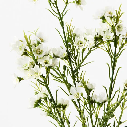 Wax Flower Spray White 66cm Set of 12