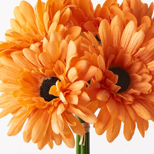 Gerbera Bouquet Orange 30cm Set of 6