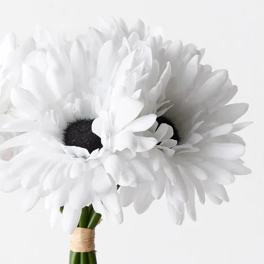 Gerbera Bouquet Winter White 30cm Set of 6