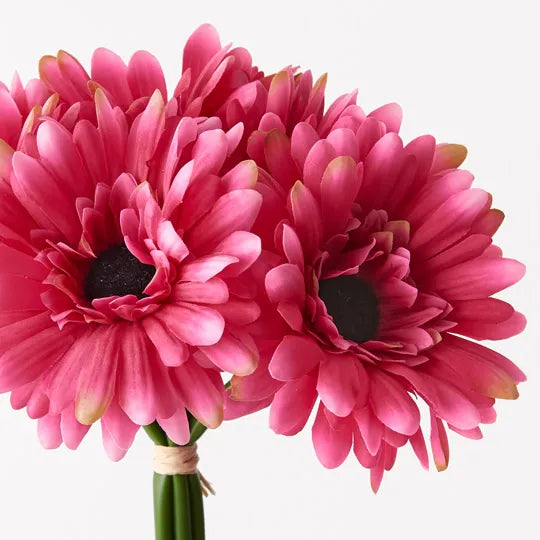 Gerbera Bouquet Fuschia 30cm Set of 6