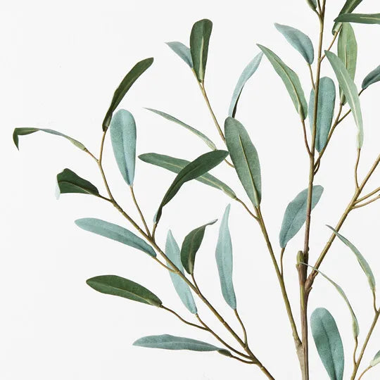 Olive Leaf Spray Grey Green 92cm Set of 12