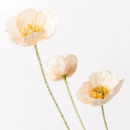 Poppy Iceland Spray Peach 60cm Set of 12