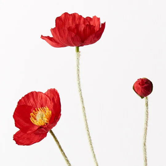 Poppy Iceland Spray Red 60cm Set of 12