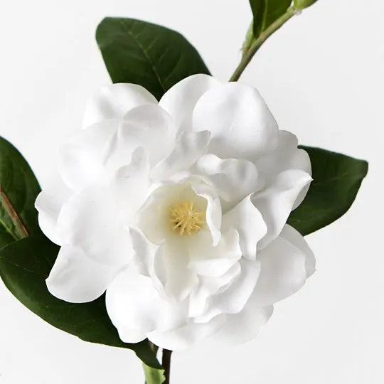 Gardenia Spray White 31cm Set of 12