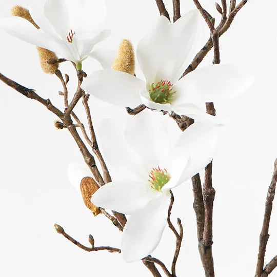 Magnolia Tree Spray White 115cm Set of 12