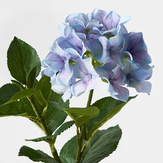 Hydrangea French Blue 30cm Set of 6