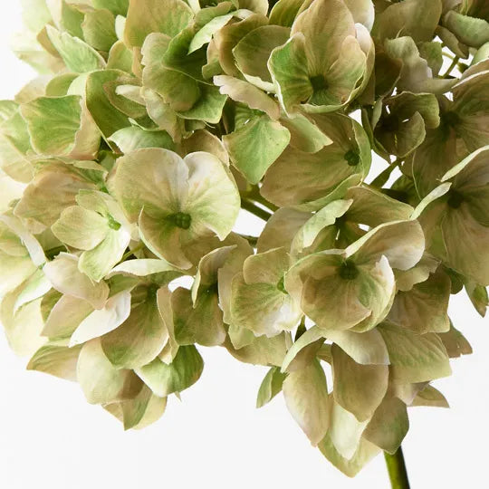 Hydrangea Green 47cm Set of 12