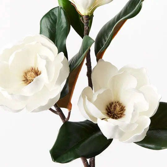 Magnolia Japanese Spray White 74cm Set of 12