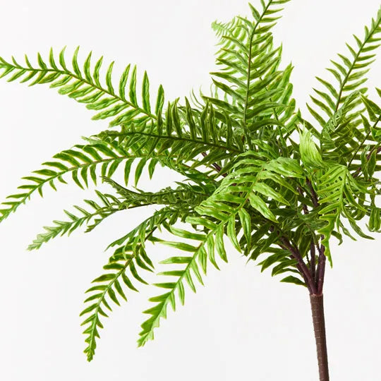 Fern Boston Bush Green 45cm Set of 12