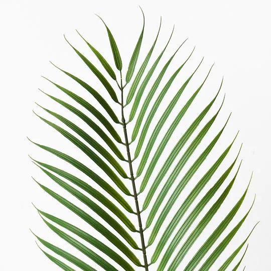 Palm Phoenix Leaf Green 105cm Set of 12