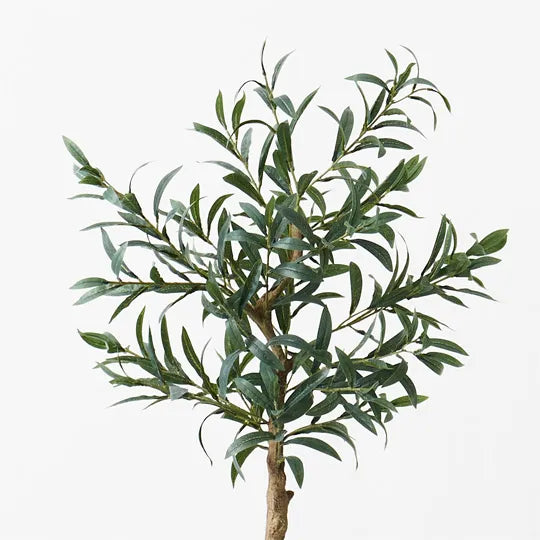 Olive Tree Without Fruit Grey 90cm Set of 2