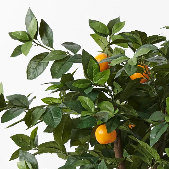 Orange Tree 90cm Set of 2