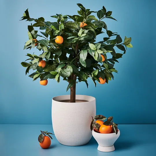 Orange Tree 90cm Set of 2