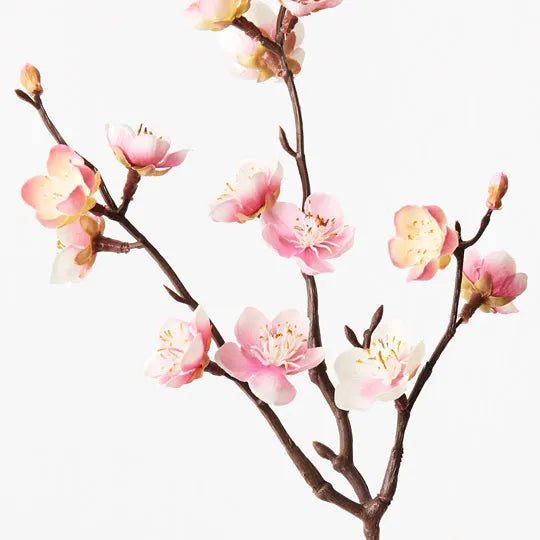 Blossom Plum Pink 50cm Set of 24