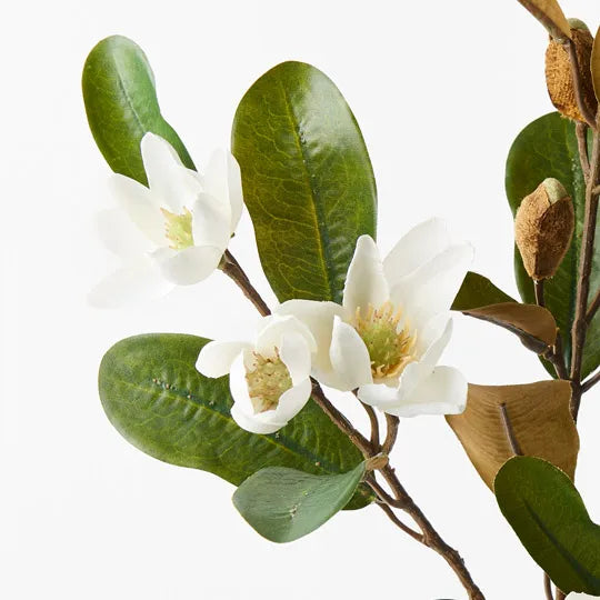 Magnolia Pearl Spray White 61cm Set of 12