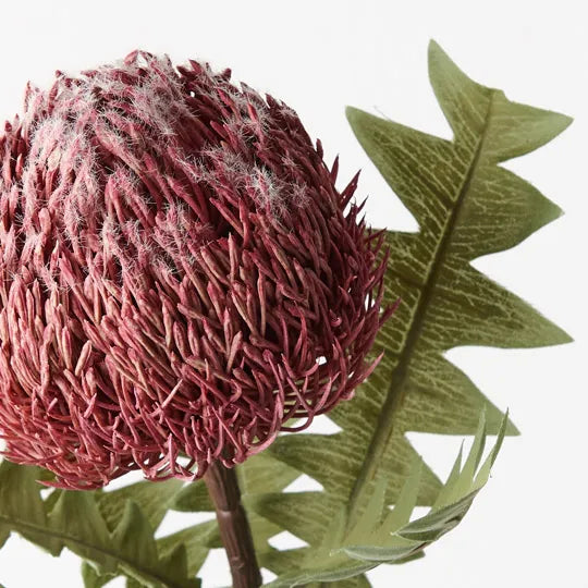 Banksia Acorn Pink 69cm Set of 12