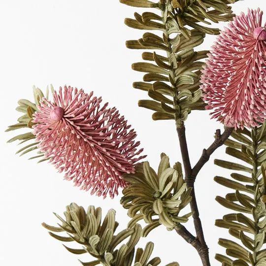 Banksia Spray Pink 66cm Set of 12