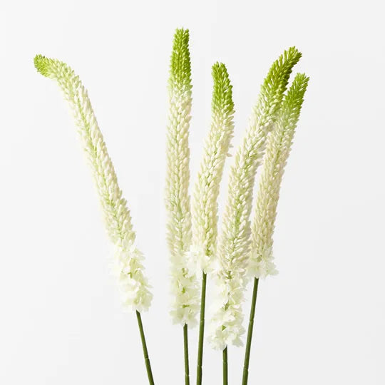 Lily Foxtail Plant White 105cm