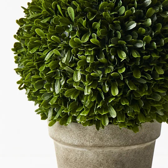 Boxwood Ball in Pot Green 43cm Set of 2