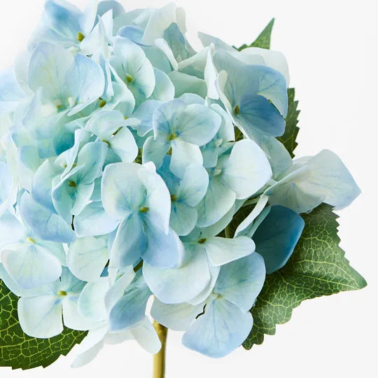 Hydrangea Light Blue 63cm Set of 12