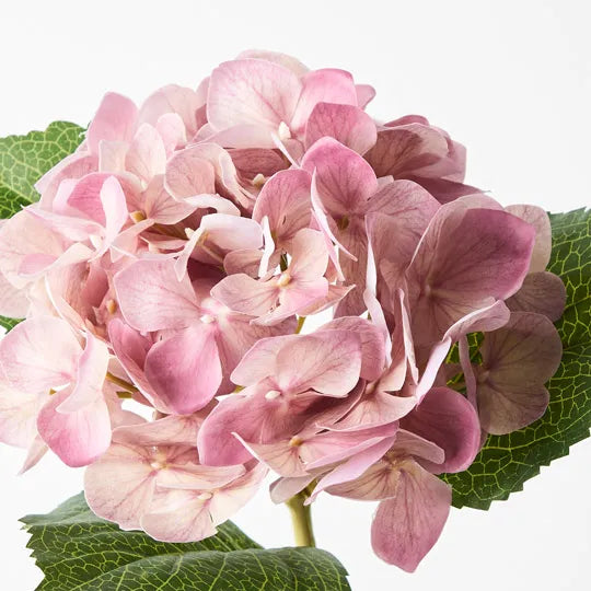 Hydrangea Mauve Pink 63cm Set of 12