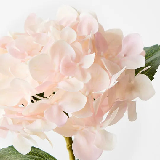 Hydrangea Soft Pink 63cm Set of 12