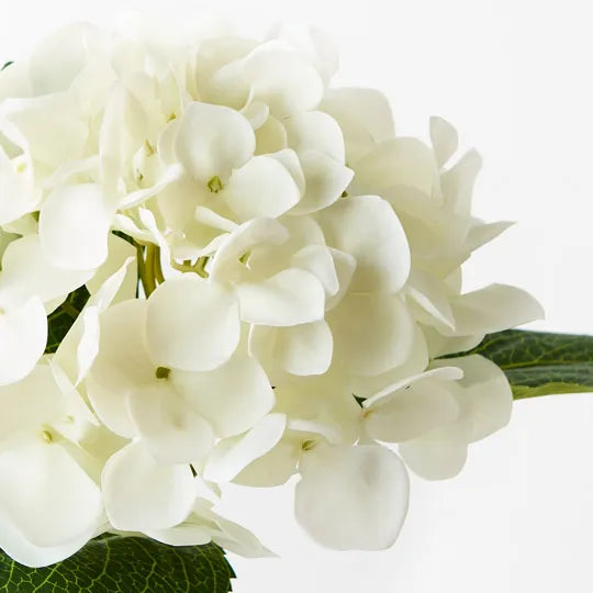 Hydrangea White 63cm Set of 12