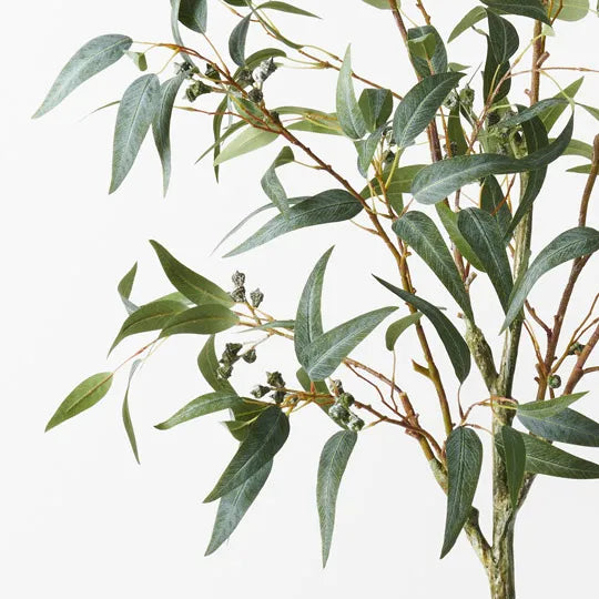Eucalyptus Seed Tree Grey Green 180cm Set of 2