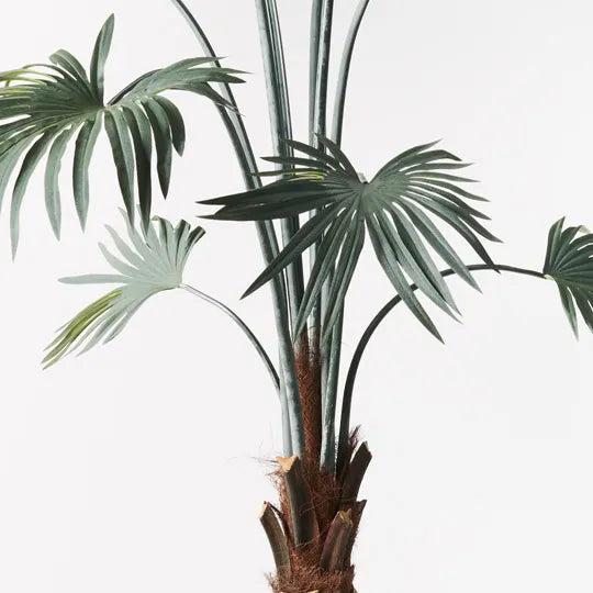 Palm Fan Plant Grey Green 180cm Set of 2