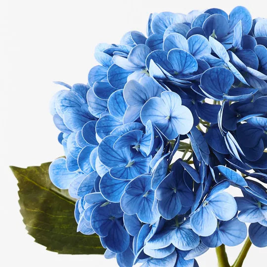 Hydrangea Blue 49cm Set of 12