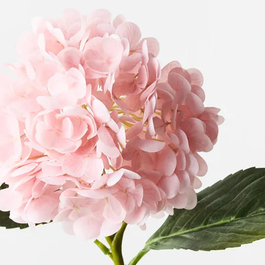 Hydrangea Light Pink 49cm Set of 12