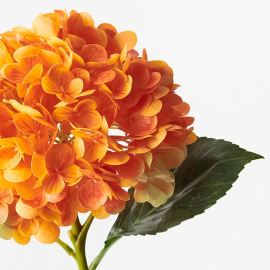 Hydrangea Orange 49cm Set of 12