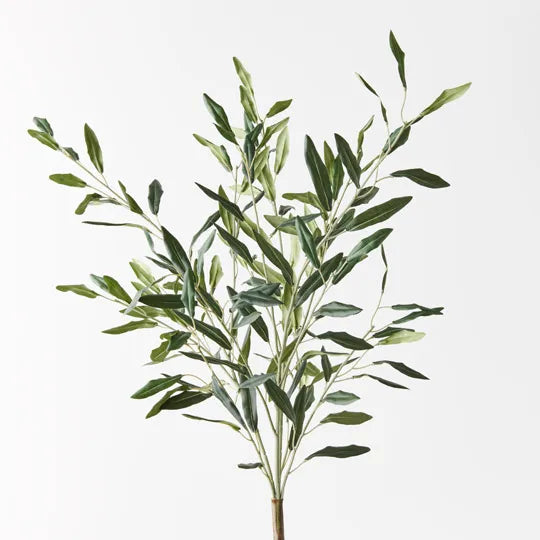 Olive Leaf Bush Green 58cm Set of 12