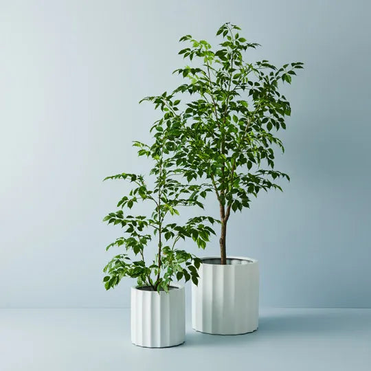 Parko White Pot 40cm - Set of Two