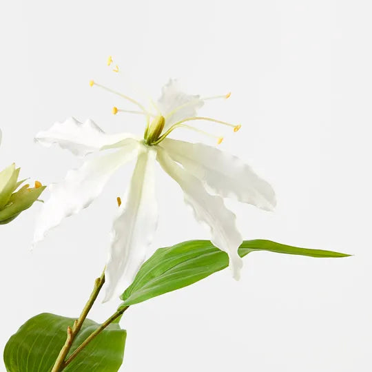 Lily Gloriosa Spray White 74cm - Pack of 12