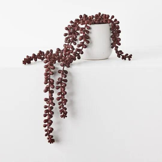 String of Pearls in Pot Burgundy 45cm - Pack of 4