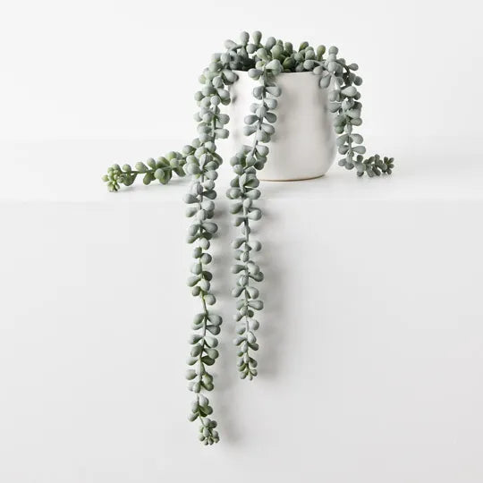 String of Pearls in Pot Grey Green 45cm - Pack of 4