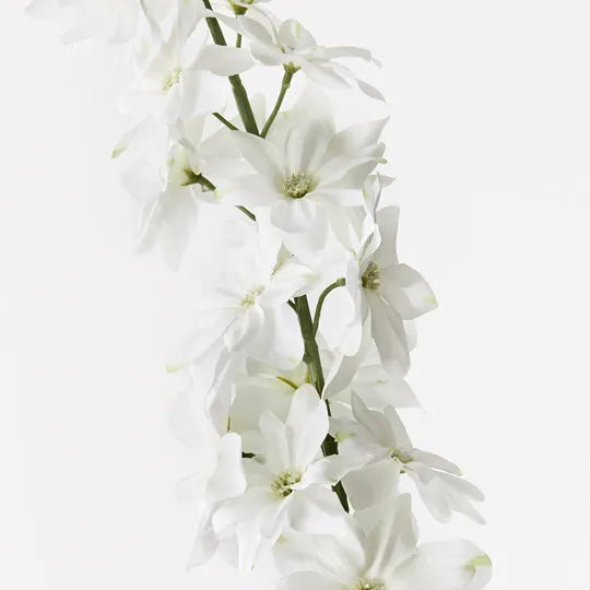 Delphinium White 90cm - Pack of 12