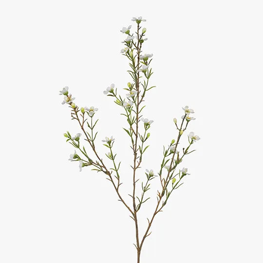 Wax Flower White 79cm - Pack of 12