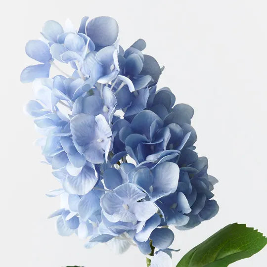 Hydrangea Cone Blue 72cm - Pack of 12