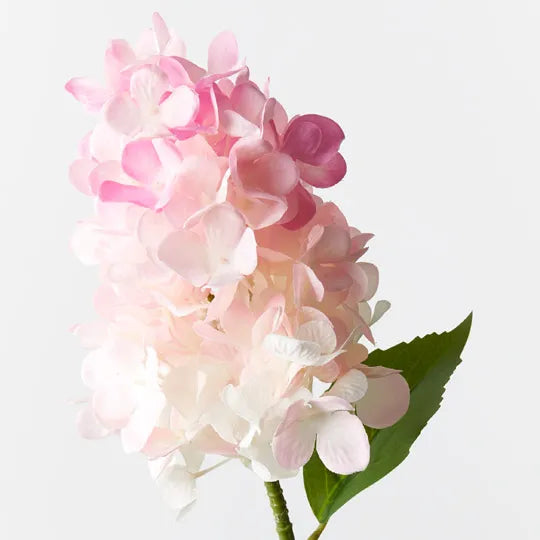 Hydrangea Cone Pink 72cm - Pack of 12