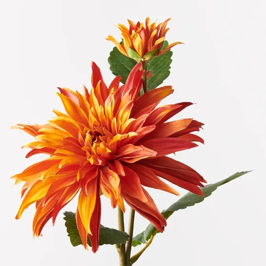 Dahlia Spray Orange 74cm - Pack of 12