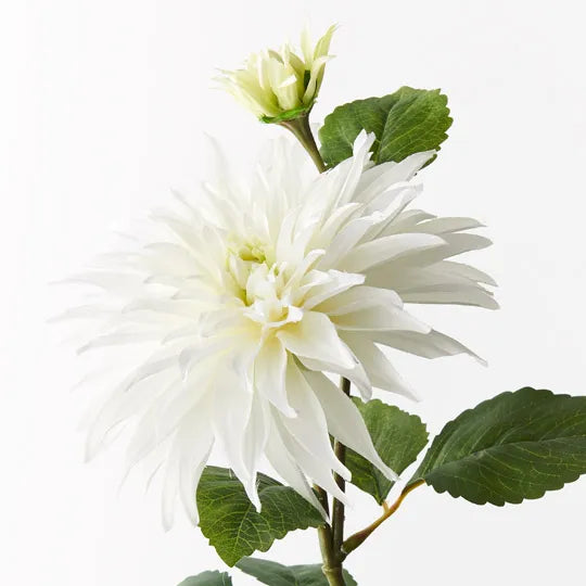 Dahlia Spray White 74cm - Pack of 12