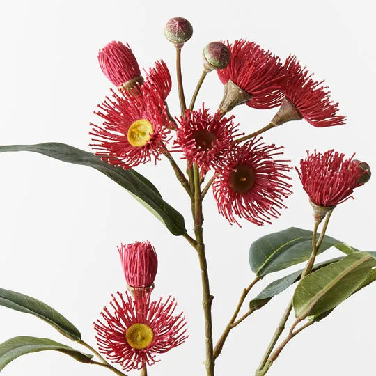 Eucalyptus Flowering Spray Red 76cm - Pack of 12