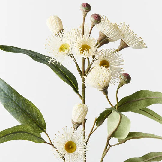 Eucalyptus Flowering Spray White 76cm - Pack of 12