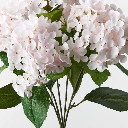 Hydrangea Bush Soft Pink 46cm - Pack of 12