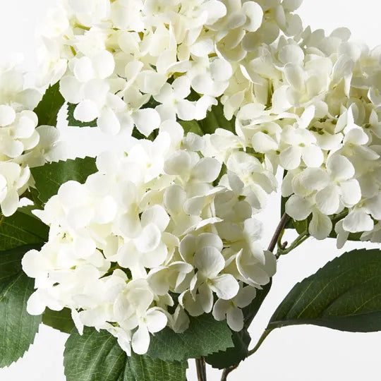 Hydrangea Bush White 46cm - Pack of 12