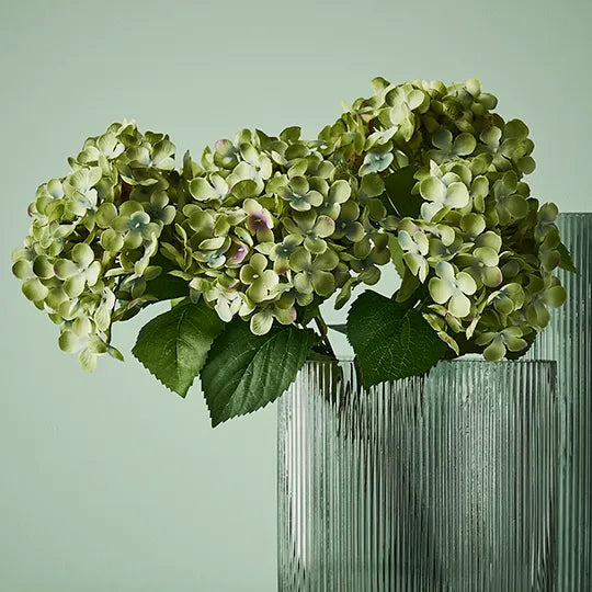 Hydrangea Bush Green 46cm - Pack of 12