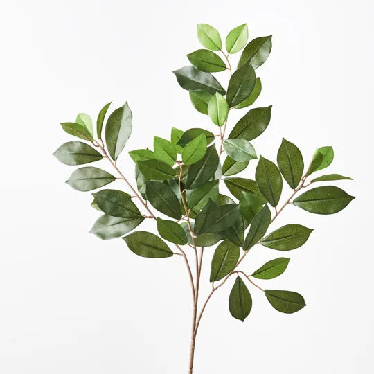 Ficus Retusa Leaf Spray Green 64cm - Pack of 24