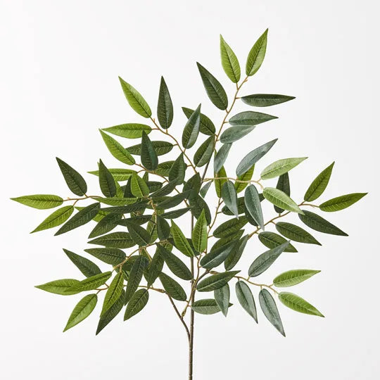 Ruscus Leaf Spray Green 67cm - Pack of 24